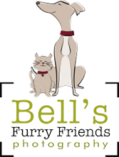 Bell's Furry Friends Photography