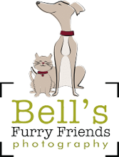 Bell's Furry Friends Photography