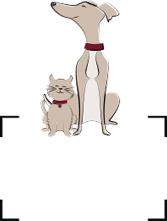 Bell's Furry Friends Photography