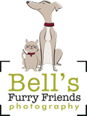 Bell's Furry Friends Photography